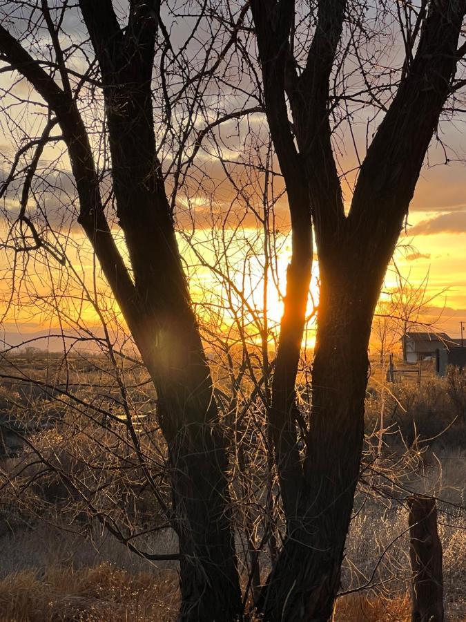 The Gratitude Homestay Alamosa Buitenkant foto